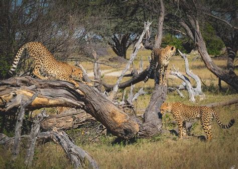 Hwange National Park 2