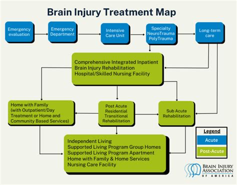 Brain Injury Treatment - Brain Injury Association of America