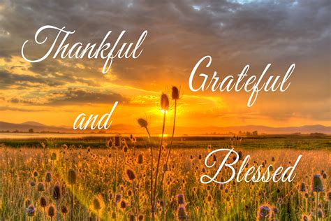 Thankful Grateful and Blessed Quote Wall Signs Popular Right Now for ...