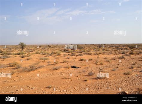 Arid Climate Zone