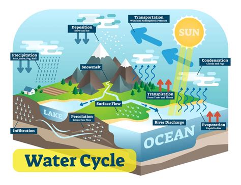 Water Cycle » Resources » Surfnetkids