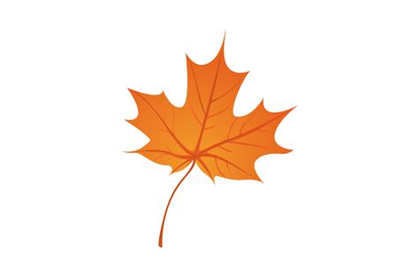 Single Autumn Leaf Vector Illustration Graphic by K for Kreative ...