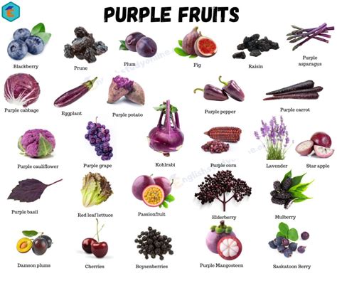 40+ Purple Fruits: A List of Majestic Fruits in Purple - English Study ...