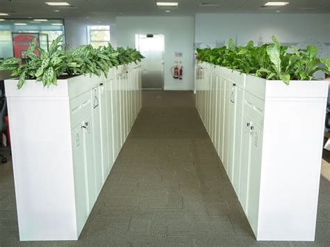 Cabinet Top Planters - PlantCare