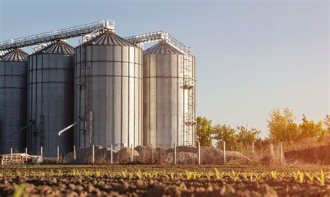 Grain Silos: What They Are and How They Work