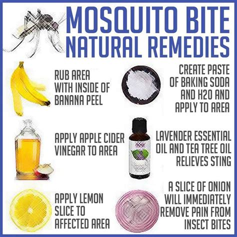 #Mosquito bite #natural remedies | great ideas | Pinterest