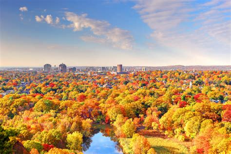 31 Things to Do in Connecticut This November