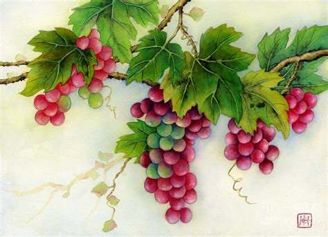 Grapes Painting by Hailey E Herrera