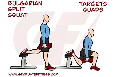 Bulgarian Split Squat Form, Muscles & Benefits - Graduate Fitness