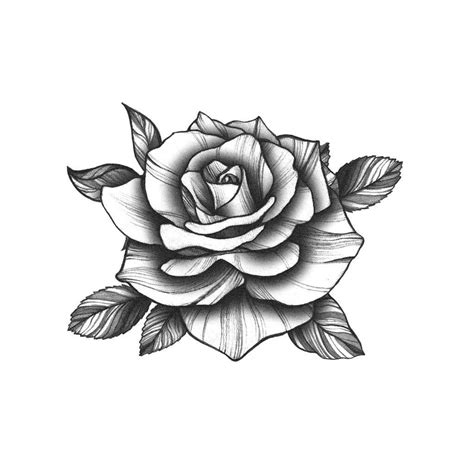 Black Rose Tattoo | Desain tato bunga, Tato bunga, Gambar desain tato