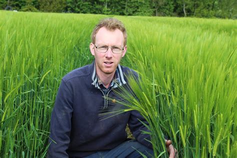 Winter barley crops on target to produce bumper yields - Agriland.ie