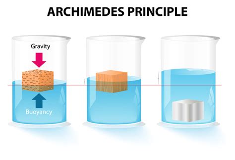 What is the Archimedes' Principle? - Science Questions for Kids