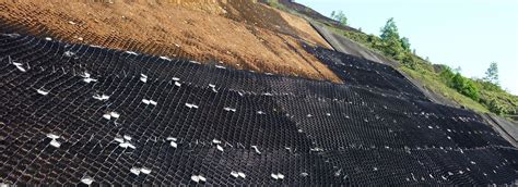 Soil Reinforcement Geogrid, for Retaining Walls & Ground Reinforcement ...