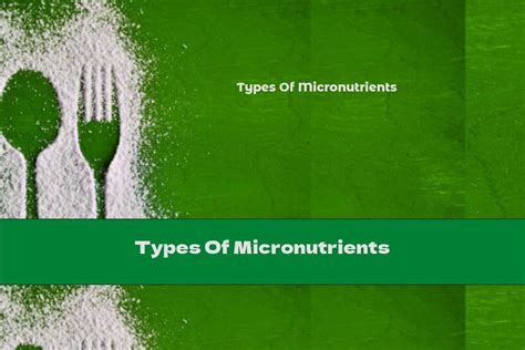 Types Of Micronutrients - This Nutrition