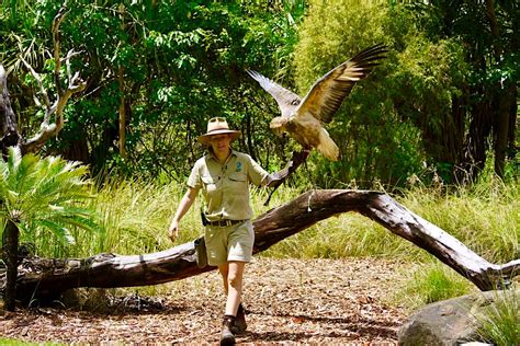 Territory Wildlife Park - Faszinierende, artenreiche Tierwelt im Top ...