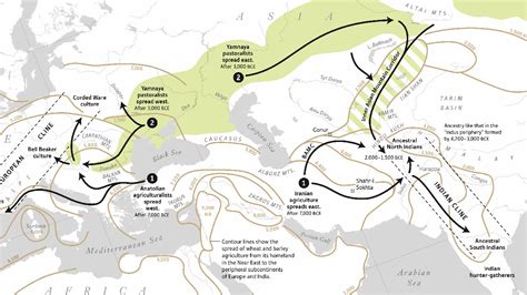 Aryan migration: Scientists use DNA to explain origins of ancient ...