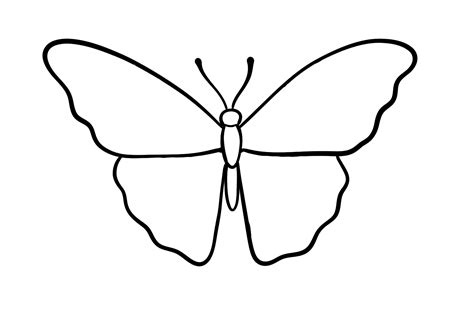 How to Draw a Butterfly | Design School