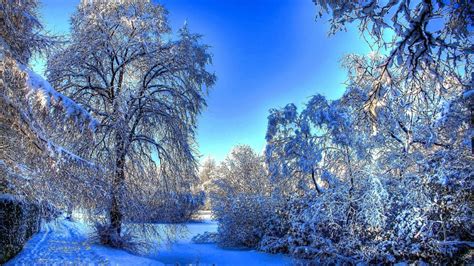 Beautiful Snow Wallpapers - Top Free Beautiful Snow Backgrounds ...