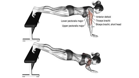 Regular Vs Wide Vs Close Grip Push Up Exercise Guide