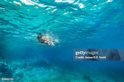 165 Cozumel Snorkeling Stock Photos, High-Res Pictures, and Images ...