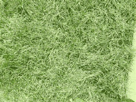 Png Grass Texture - Jonie Wida