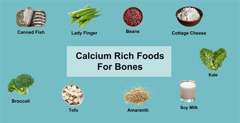 Top 15 Calcium Rich Foods for Bones by Dietitians | Livofy