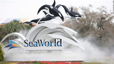 Former trainer: SeaWorld had policy of food deprivation - CNN Video