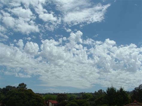 Altocumulus castellanus cloud - Wikipedia | Cloud type, Clouds, Earth ...