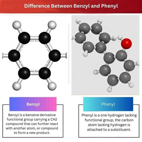 Benzyl vs Phenyl: Difference and Comparison