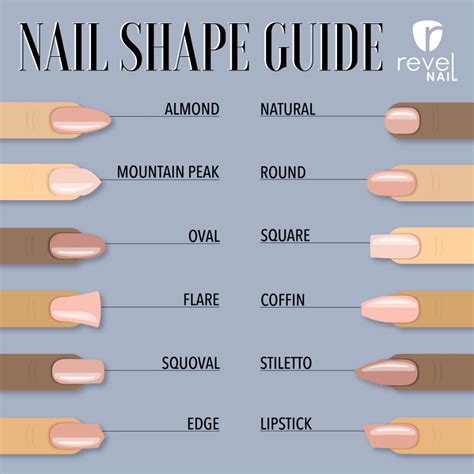 Revel Nail Dip Powder Nail Shape Guide