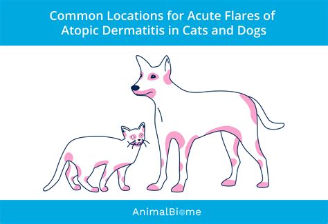 Managing Atopic Dermatitis in Dogs – AnimalBiome