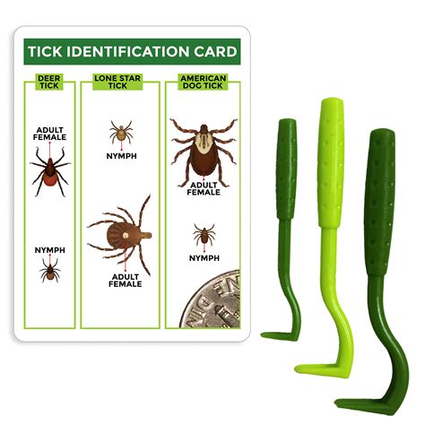 Buy TickCheck Tick Remover Value 3 Pack - Tick Remover Tools + Tick ...