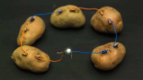 Science Experiments At Home | Potato Battery - YouTube