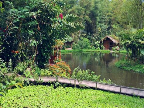 A detailed guide to Mindo Cloud Forest Ecuador | Boundless Roads