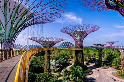 OCBC Skyway in Gardens by the Bay Singapore Tickets, timings, offers ...