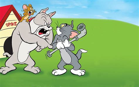 Tom ve jerry içinde bu köpek ev, HD masaüstü duvar kağıdı | Wallpaperbetter