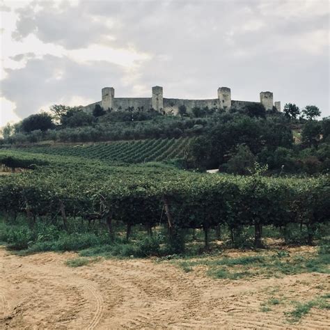 A Visit To The Castle of Monteriggioni | Places to travel, Monument ...