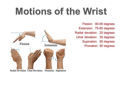 Wrist Motion (Radial & Ulnar Deviations) : AimHero