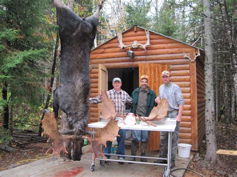 Maine Moose Hunting - Blackwater Outfitters