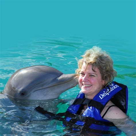 Swim With Dolphins Dubai - Dubai | Project Expedition