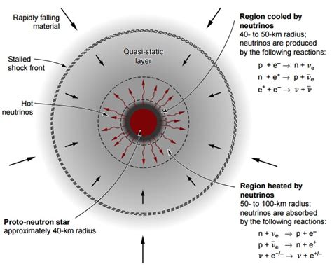 Type 2 Supernova Diagram