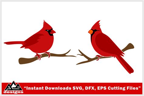 Cardinal SVG Files Birds SVG File For Cricut Eps,Bird Dxf Clip Art ...