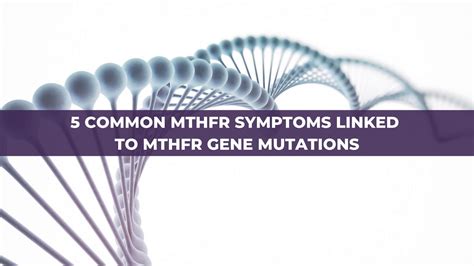 5 Common MTHFR Symptoms and How to Manage Your Gene Mutation - MTHFR ...