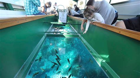 Florida attraction to get glass-bottom boat for wheelchairs