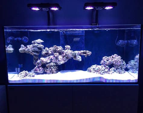 Aquascape Ideas Reef - Aquascape Ideas