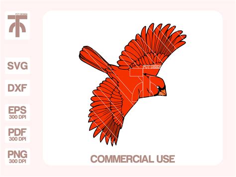 Cardinal Svg Cardinal Clipart Cardinal Bird Svg Cardinal - Etsy