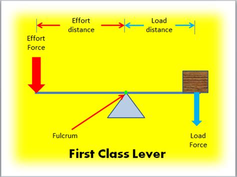 First Class Lever