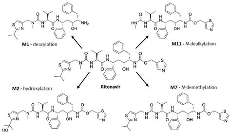 IJMS | Free Full-Text | The Mechanism-Based Inactivation of CYP3A4 by ...