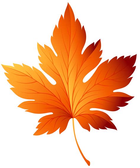 Fall Leaf Clipart No Background