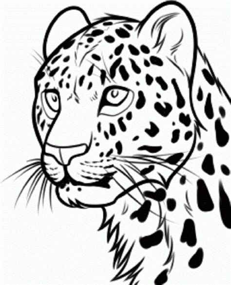 How to Draw a Leopard Face - Step by Step